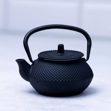 Чугунен чайник Kinghoff KH 1817, 300 ml, Филтър, Индукция, Черен