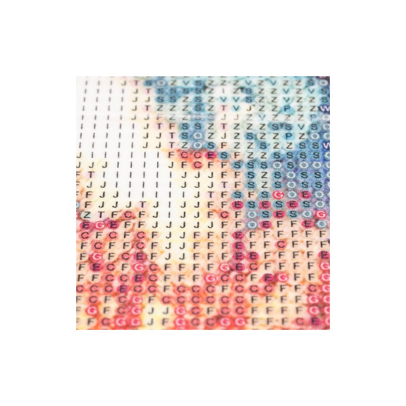 Image2