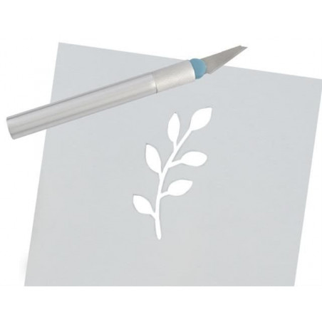 Image4 Image4