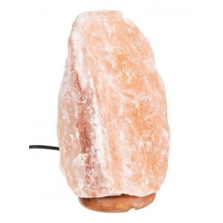 Image6
