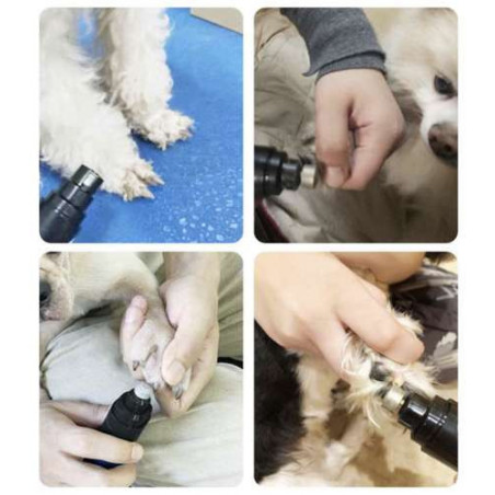 Image10 Image10