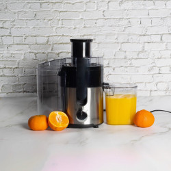 Сокоизстисквачка Royalty Line PJ-76111, 600W, 3 скорости+Pulse, 0.600 мл, Система против капене, Инокс