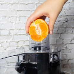 Сокоизстисквачка Royalty Line PJ-76111, 600W, 3 скорости+Pulse, 0.600 мл, Система против капене, Инокс