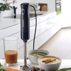Пасатор Ariete BREAKFAST 0601/00, 700W, 2 скорости, Турбо, Функция против пръски, Тъмносив