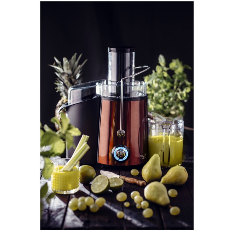 Сокоизстисквачка Adler AD 4129, 1000/2000W, 2 скорости, 1l, Система против капене, Черен/бронз
