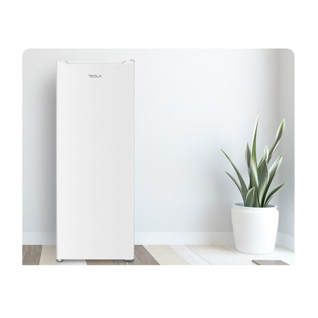 Фризер Tesla RU1700HE, 100W, 168Л, Енергиен клас E, Обръщаща се врата, Тиха работа, Бял