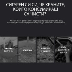 [[BG