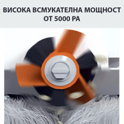 [[BG