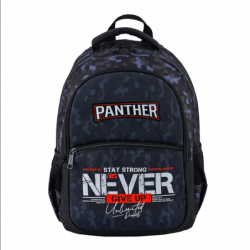 catalog/PT-9888.png