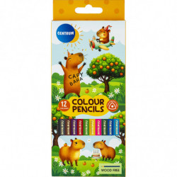 catalog/81286.jpg