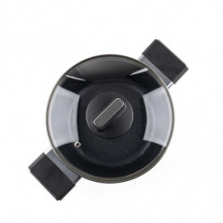 Тенджера Luigi Ferrero Regina FR-2040 20x10 см, 2.5 л, Незалепващо покритие, Стъклен капак с отвор за пара, Индукция, Черен