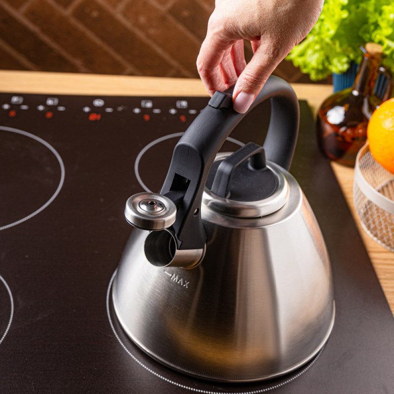 Свирещ чайник Klausberg KB 7951, 2.5 л, Неръждаема стомана, Топлоизолирана дръжка, Индукция, Матов инокс