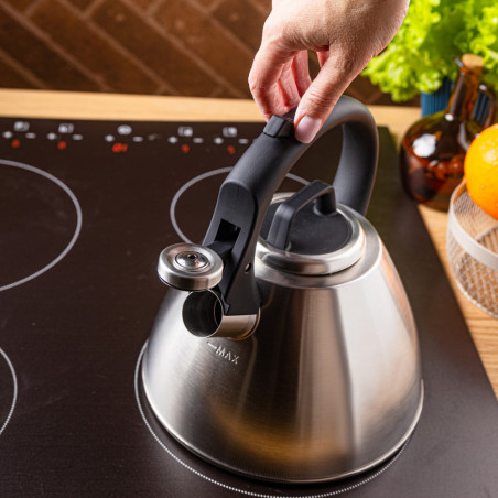 Свирещ чайник Klausberg KB 7951, 2.5 л, Неръждаема стомана, Топлоизолирана дръжка, Индукция, Матов инокс