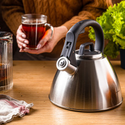 Свирещ чайник Klausberg KB 7951, 2.5 л, Неръждаема стомана, Топлоизолирана дръжка, Индукция, Матов инокс
