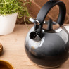 Свирещ чайник Klausberg KB 7955, 3l, Термоизолирана дръжка, Многослойно дъно, Индукция, Тъмносив графит