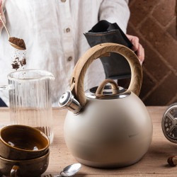 Свирещ чайник Klausberg KB 7956, 3l, Термоизолирана дръжка, Многослойно дъно, Индукция, Бежов