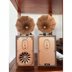 Bluetooth радио колонка Ashu AS39, 1x8W, 1200mAh, Кафяв