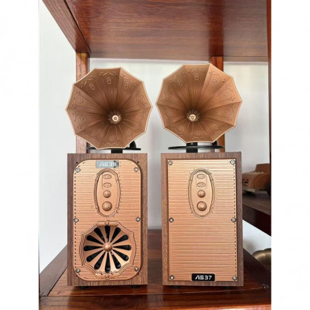 Bluetooth радио колонка Ashu AS39, 1x8W, 1200mAh, Кафяв