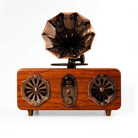 Bluetooth радио колонка Ashu AS36, 2x5W, 1800mAh, Кафяв