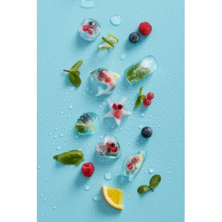 Форма за лед с капак Lekue 1009042, 22х11х2.3 см, 11 Делфина, -40 +60°C, Син