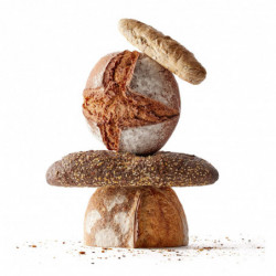 Комплект за приготвяне на хляб с квас Lekue 1010175, 3 части, 9.3х9.3х17 см, -20/+80°C, Кафяв