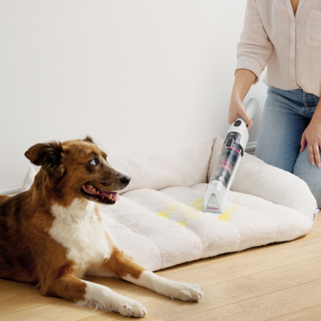 Безжична прахосмукачка за петна Shark StainForce HX100EUT, 100W, 15 мин, Килими, Тапицерия, Матраци, Самопочистване, Бял