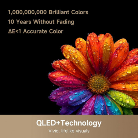 Телевизор Dreame Vivid 65Q100, 65", 164 см, 3840x2160, 4K Ultra HD, QLED, 120 Hz, Dreamind™ AI, SMART, Черен