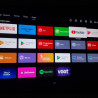 Телевизор Dreame Vivid 43Q100, 43", 108 см, 3840x2160, 4K Ultra HD, QLED, 120 Hz, Dreamind™ AI, SMART, Черен