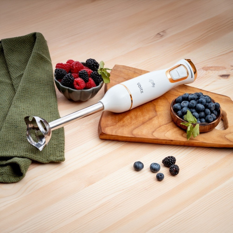 Пасатор Oliver Voltz Daisy OV51112W, 800W, 2 скорости, Стоманен накрайник, Бял