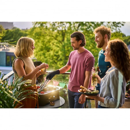 Електрическо барбекю със стойка Weber Lumin WB92010879DL, 2200 W, Сгъваема стойка, 315C, Емайлирани с порцелан чугунени скари, Страничен рафт, Черен