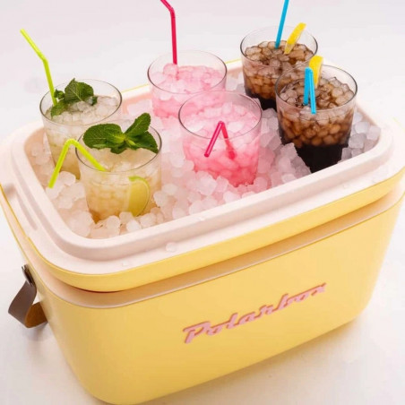 Хладилна чанта Polarbox Classic, 20 литра, AIRPOP полистирол, 5-15C до 24 часа, Класическа кожена каишка, Тъмносин/Розов