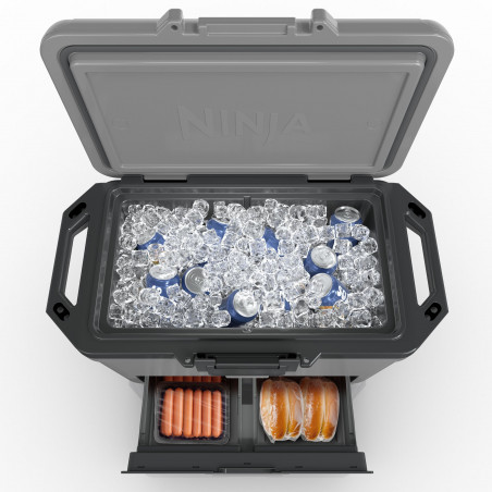 Хладилна кутия Ninja FrostVault FB151EUGY, 47 л, Пасивна, 80 кена, Поддържа лед до 6 дни, Сухо отделение, Сив