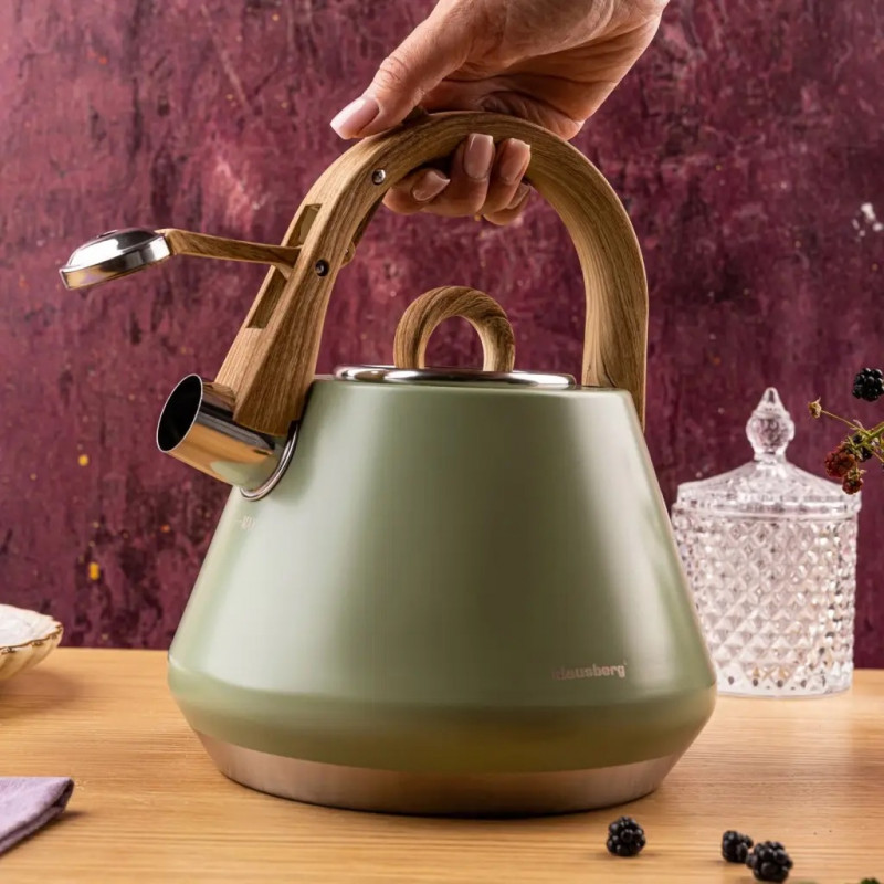 Свирещ чайник Klausberg KB 9062, 2.5 л, Неръждаема стомана, Ненагряваща се дръжка, Индукция, Зелен