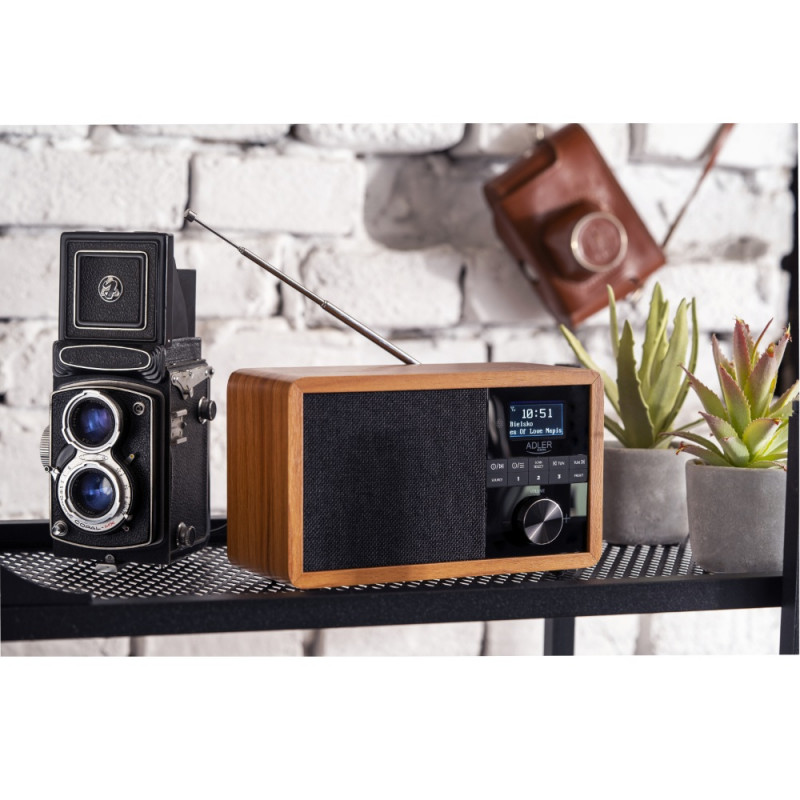 5258_313450 5258_313450