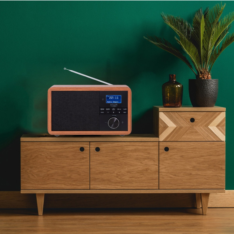 5258_313452 5258_313452