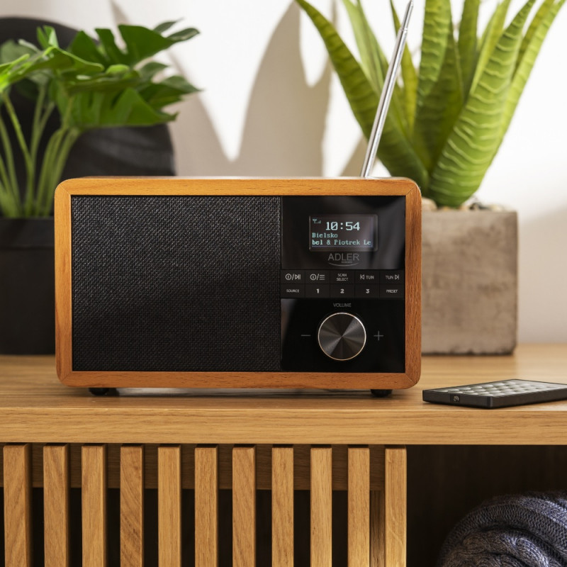 5258_313451 5258_313451