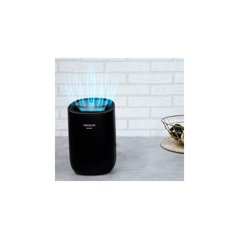 5315_241267 5315_241267