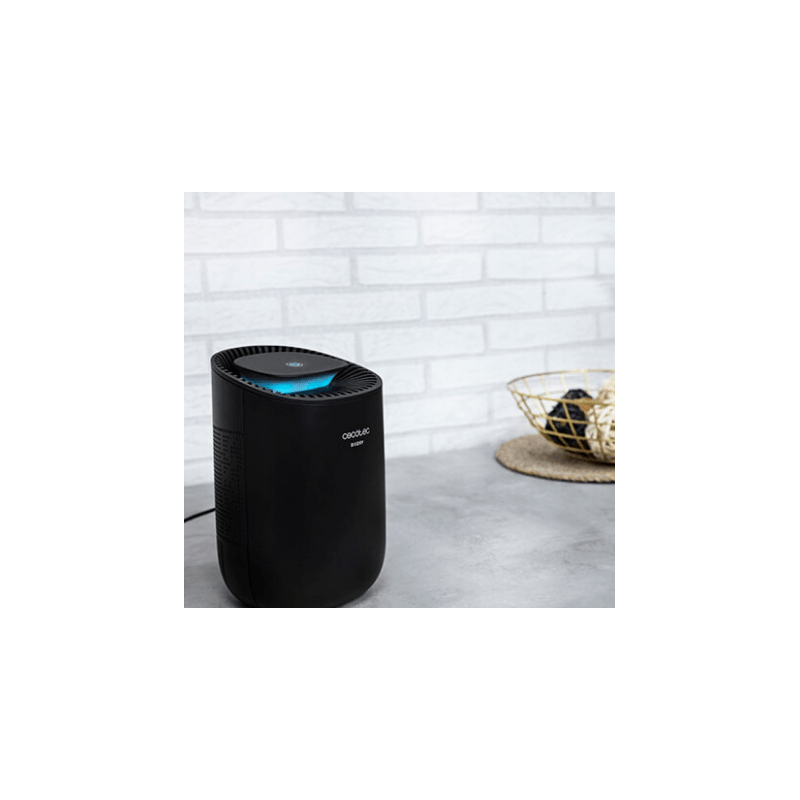 5315_241264 5315_241264