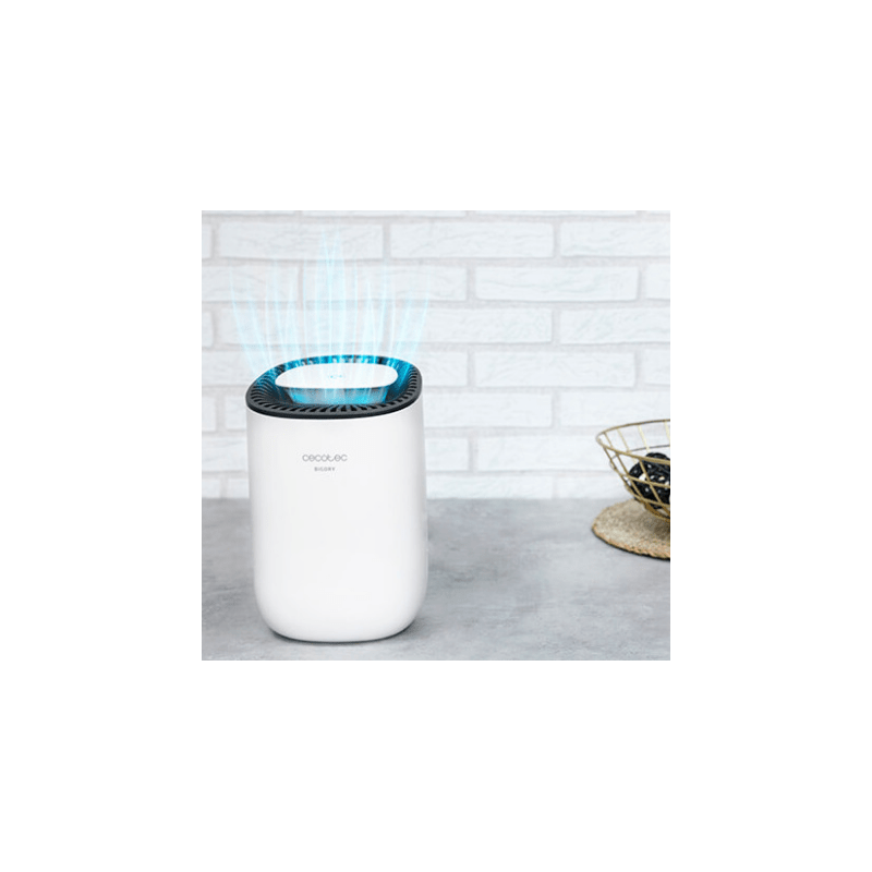 5314_241260 5314_241260