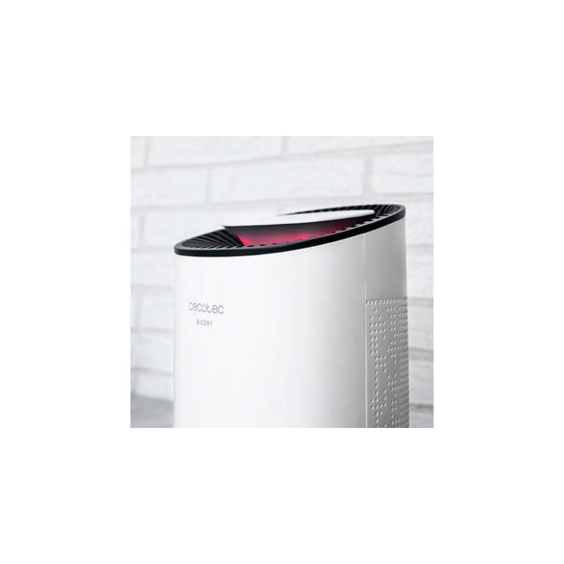 5314_241257 5314_241257