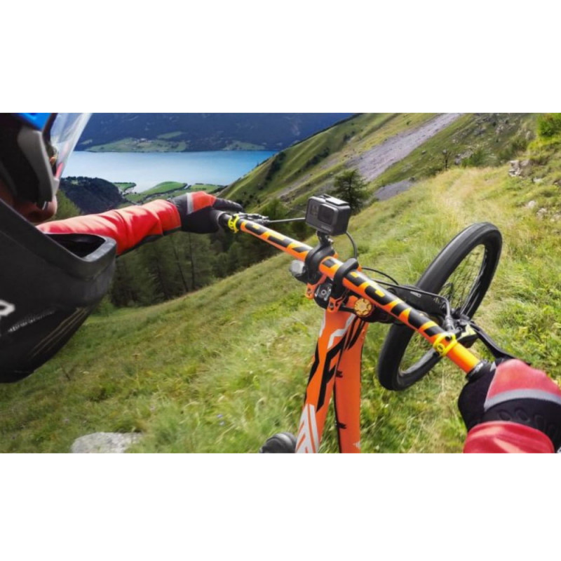 2614_286876 2614_286876